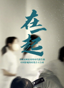 如何结合网站速度优化后台实现SEO与用户体验双赢